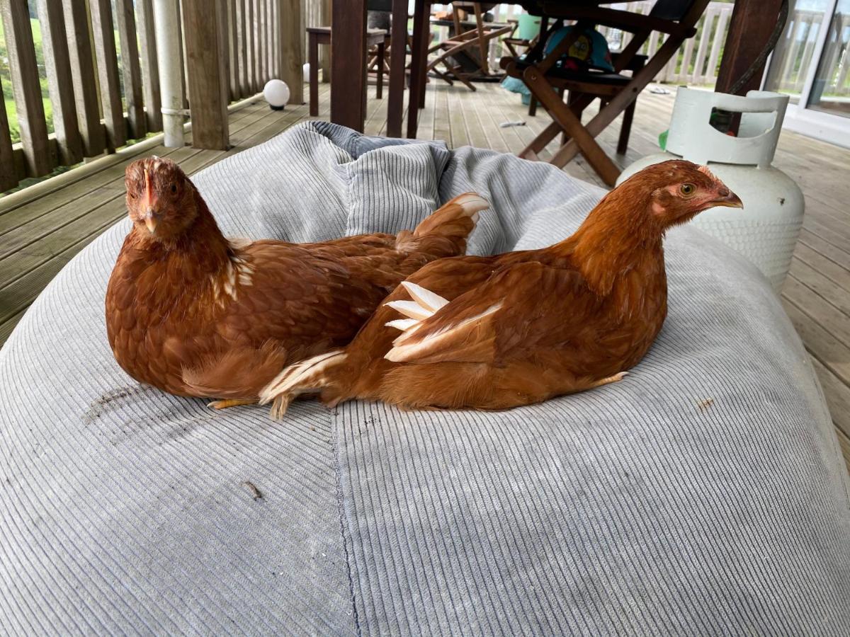 Pukeatua Farmstay Waimauku ภายนอก รูปภาพ