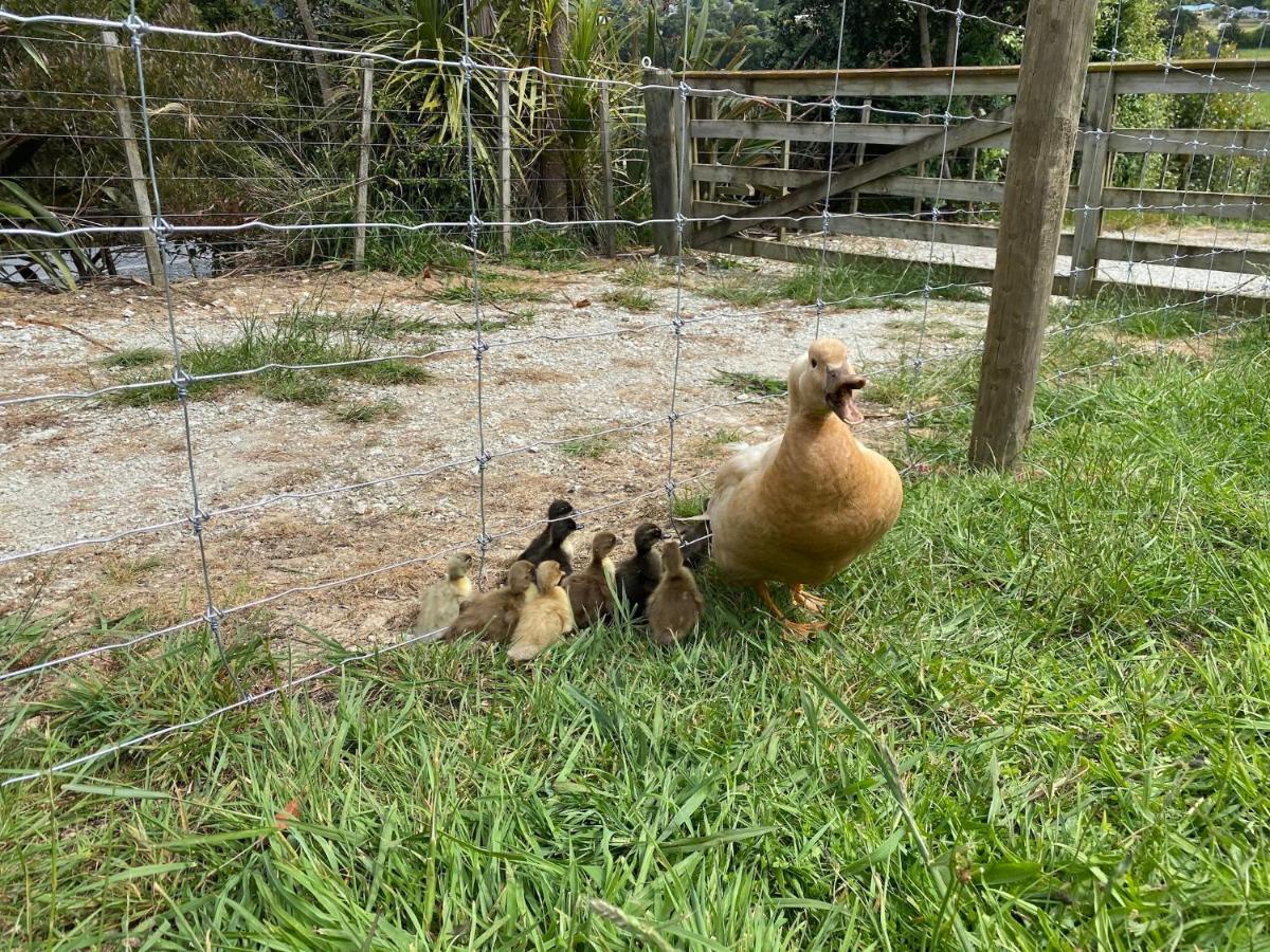 Pukeatua Farmstay Waimauku ภายนอก รูปภาพ