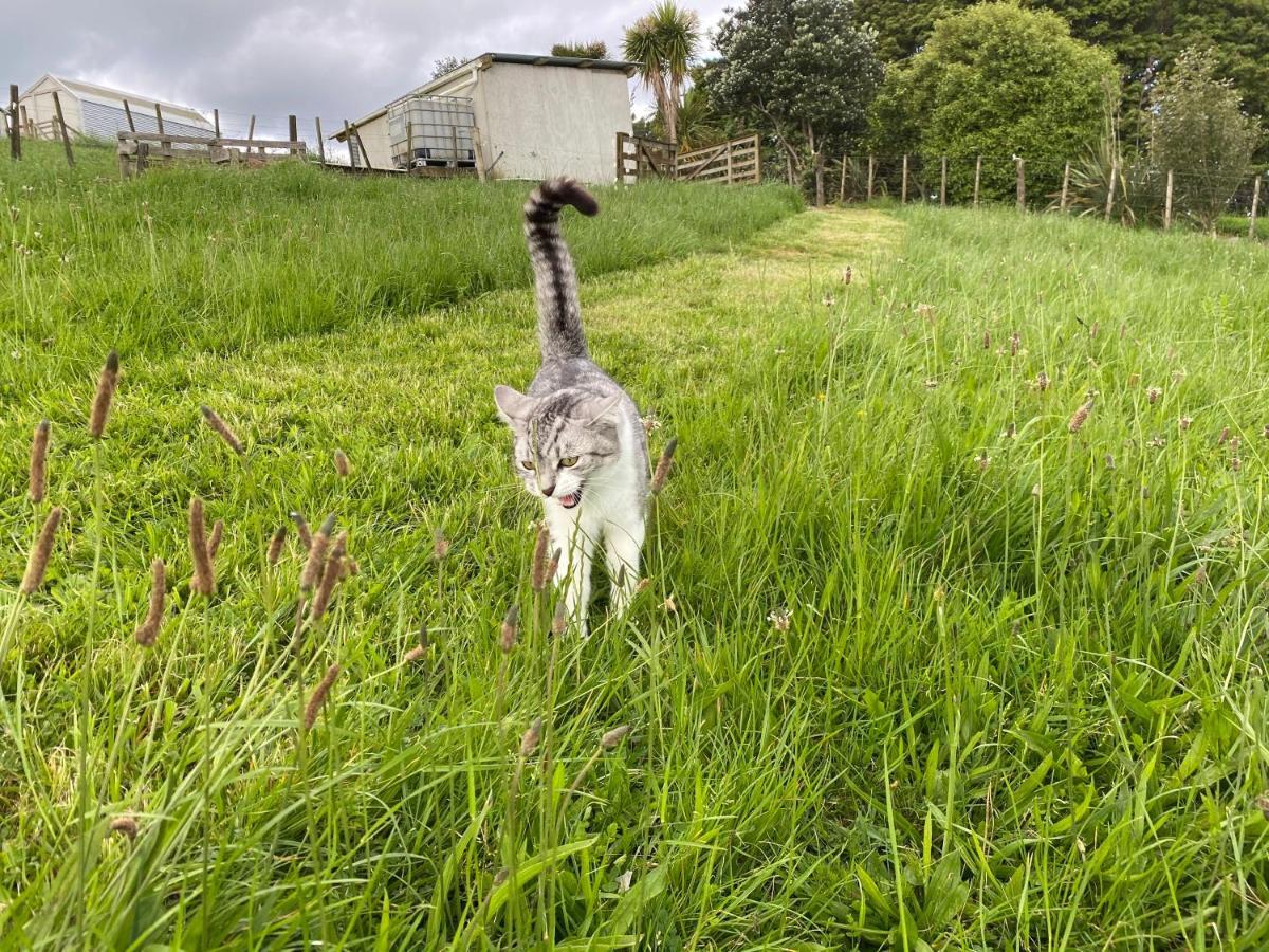 Pukeatua Farmstay Waimauku ภายนอก รูปภาพ