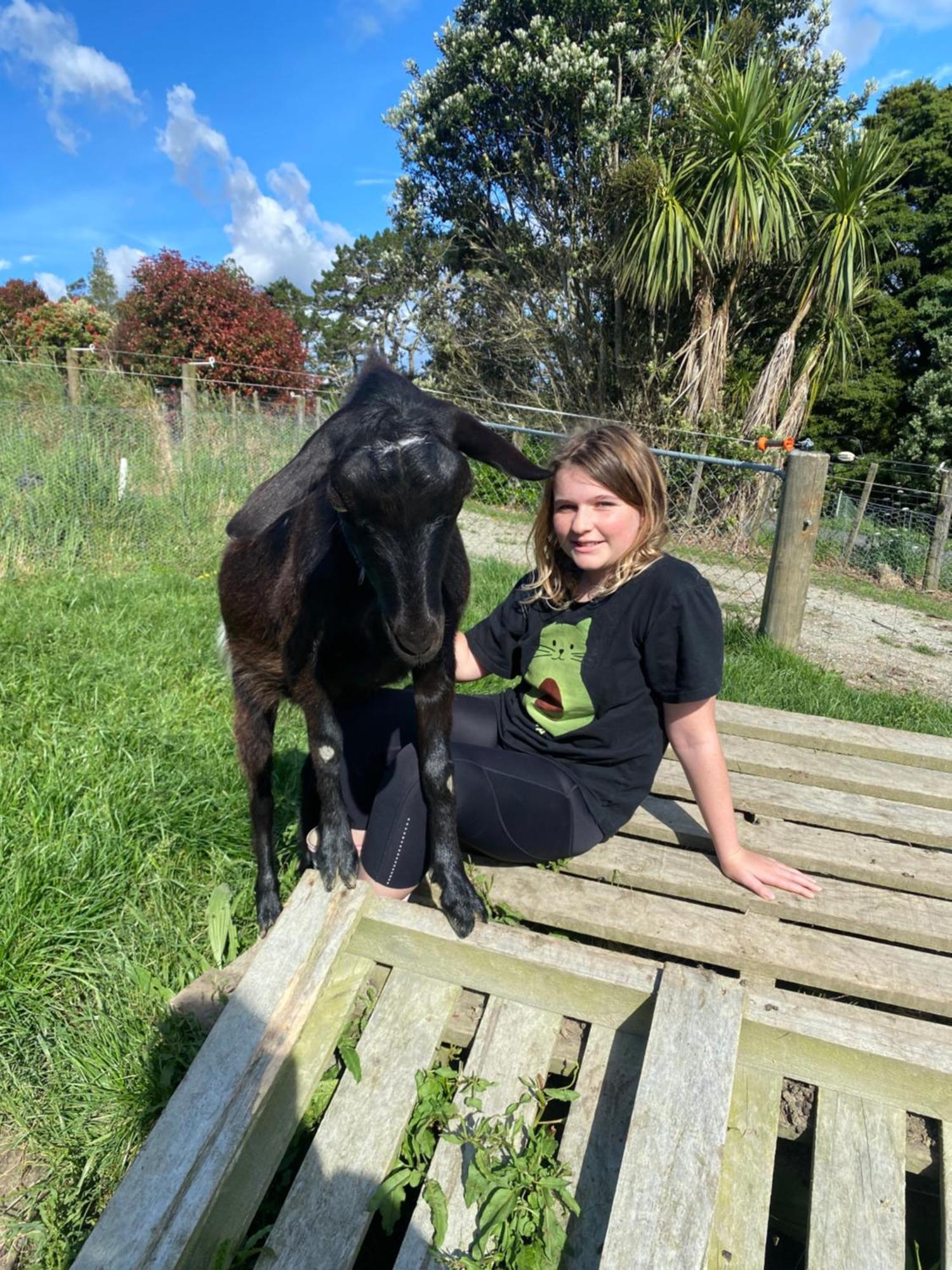 Pukeatua Farmstay Waimauku ภายนอก รูปภาพ