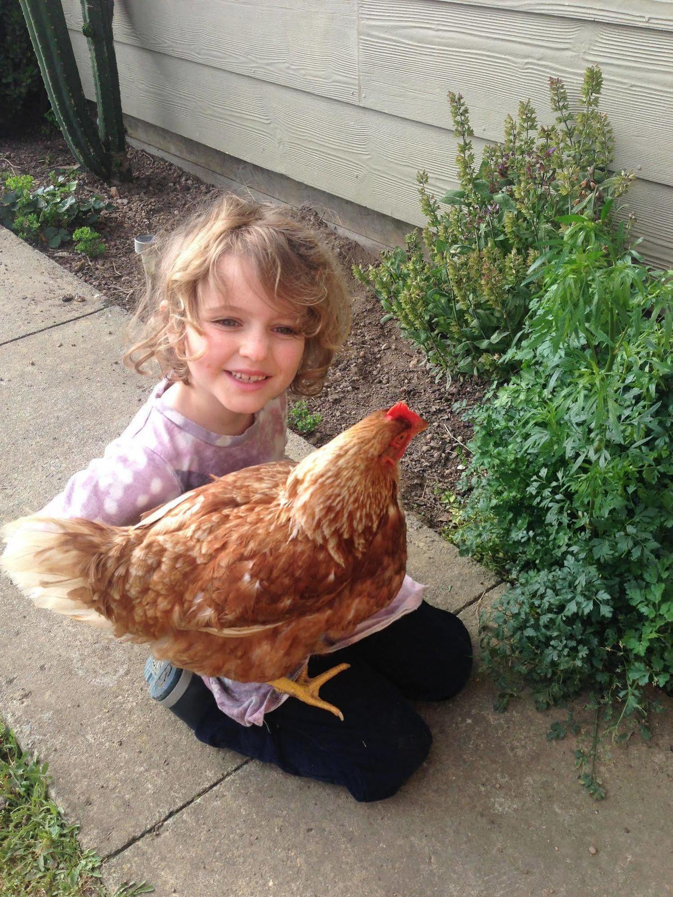 Pukeatua Farmstay Waimauku ภายนอก รูปภาพ