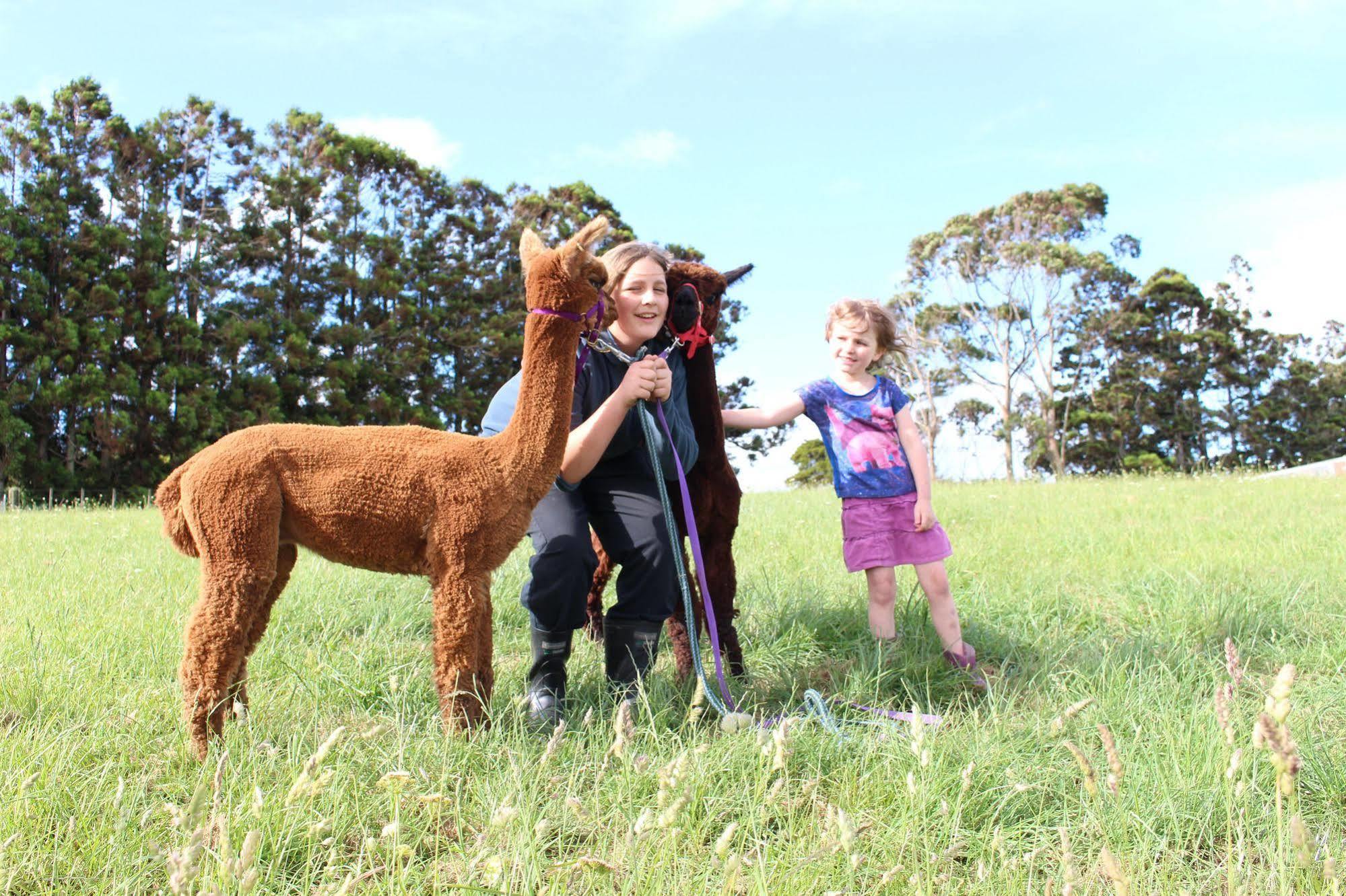 Pukeatua Farmstay Waimauku ภายนอก รูปภาพ